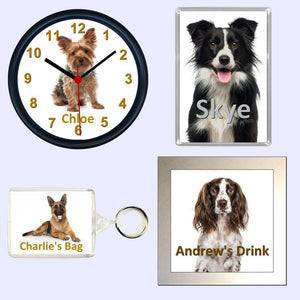 Products For Dog Lovers