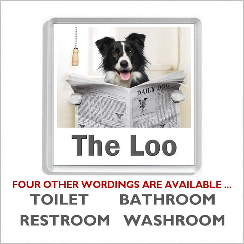 BORDER COLLIE READING A NEWSPAPER ON THE LOO Novelty Acrylic Toilet Door Sign (5 WORDINGS)