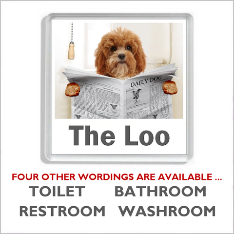 CAVAPOO READING A NEWSPAPER ON THE LOO Novelty Acrylic Toilet Door Sign (5 WORDINGS)