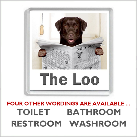 CHOCOLATE LABRADOR READING A NEWSPAPER ON THE LOO Novelty Acrylic Toilet Door Sign (5 WORDINGS)