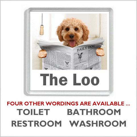 COCKAPOO READING A NEWSPAPER ON THE LOO Novelty Acrylic Toilet Door Sign (5 WORDINGS)
