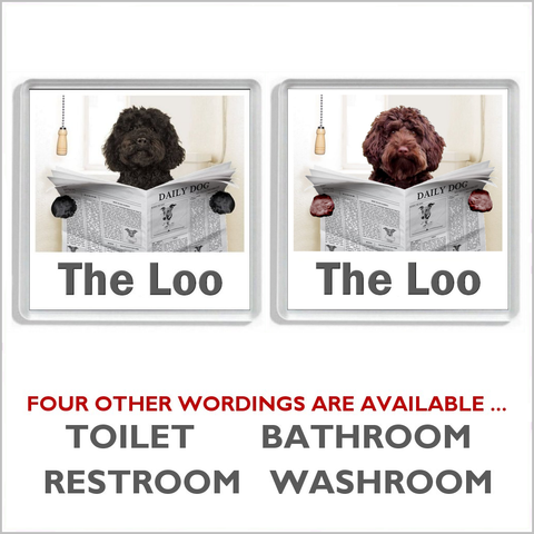 LABRADOODLE READING A NEWSPAPER ON THE LOO Novelty Acrylic Toilet Door Sign (2 DESIGNS and 5 WORDINGS)