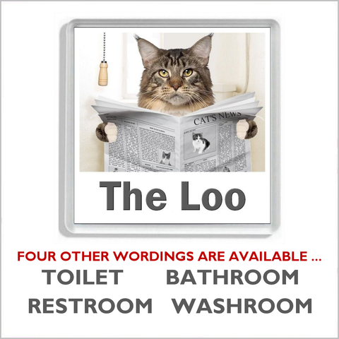 MAINE COON CAT READING A NEWSPAPER ON THE LOO Novelty Acrylic Toilet Door Sign (5 WORDINGS)