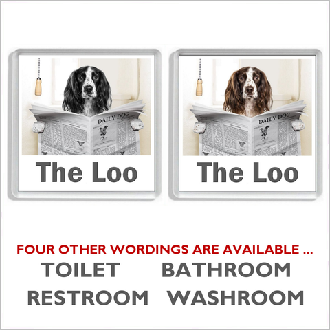 SPRINGER SPANIEL READING A NEWSPAPER ON THE LOO Novelty Acrylic Toilet Door Sign (2 DESIGNS and 5 WORDINGS)