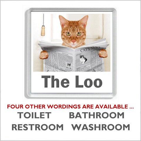 GINGER TABBY CAT READING A NEWSPAPER ON THE LOO Novelty Acrylic Toilet Door Sign (5 WORDINGS)