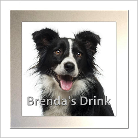 Personalised BORDER COLLIE DOG Glass Drinks Coaster