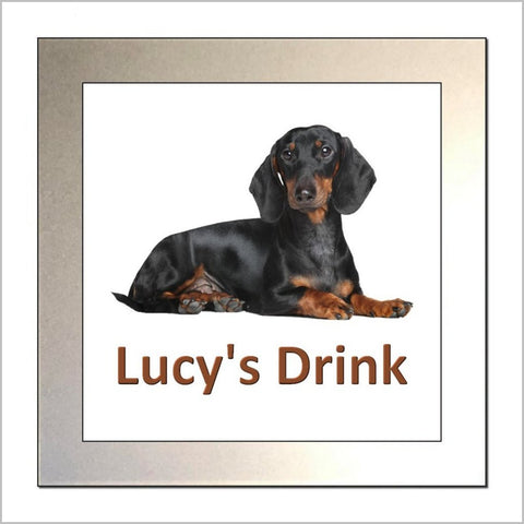 Personalised DACHSHUND (SAUSAGE DOG) Glass Drinks Coaster