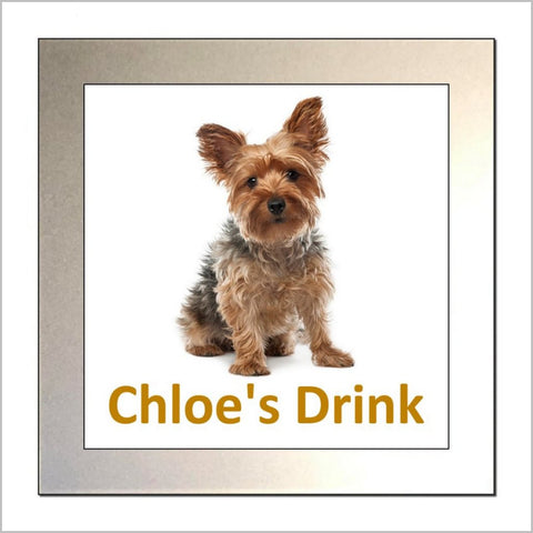 Personalised YORKSHIRE TERRIER Glass Drinks Coaster
