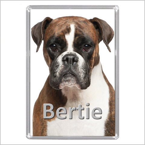 Personalised BOXER DOG Jumbo Acrylic Fridge Magnet
