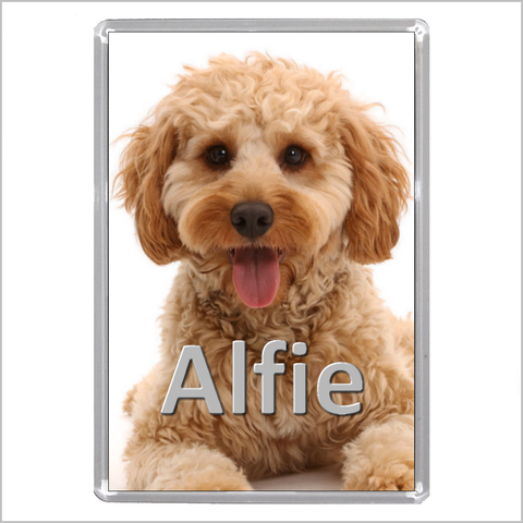 Personalised COCKAPOO DOG Jumbo Acrylic Fridge Magnet
