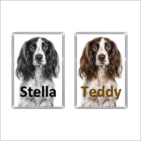 Personalised SPRINGER SPANIEL DOG Jumbo Acrylic Fridge Magnet - TWO DESIGNS AVAILABLE