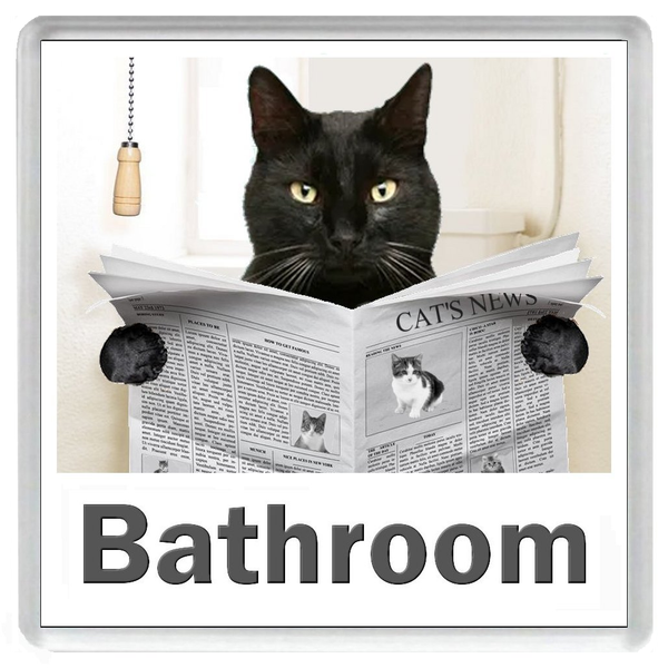 BLACK CAT READING A NEWSPAPER ON THE LOO Novelty Acrylic Toilet Door Sign (5 WORDINGS)