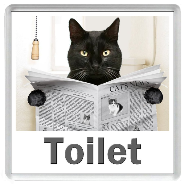BLACK CAT READING A NEWSPAPER ON THE LOO Novelty Acrylic Toilet Door Sign (5 WORDINGS)
