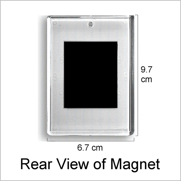 Personalised SPRINGER SPANIEL DOG Jumbo Acrylic Fridge Magnet - TWO DESIGNS AVAILABLE