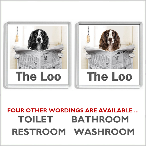 SPRINGER SPANIEL READING A NEWSPAPER ON THE LOO Novelty Acrylic Toilet Door Sign (2 DESIGNS and 5 WORDINGS)