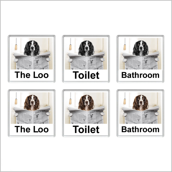 SPRINGER SPANIEL READING A NEWSPAPER ON THE LOO Novelty Acrylic Toilet Door Sign (2 DESIGNS and 3 WORDINGS)