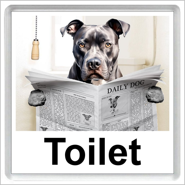 STAFFORDSHIRE BULL TERRIER READING A NEWSPAPER ON THE LOO Novelty Acrylic Toilet Door Sign (3 DESIGNS AND 3 WORDINGS)