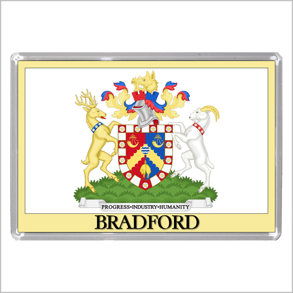 UK ENGLAND - ENGLISH CITY COATS OF ARMS Jumbo Acrylic Fridge Magnets (55 DESIGNS)