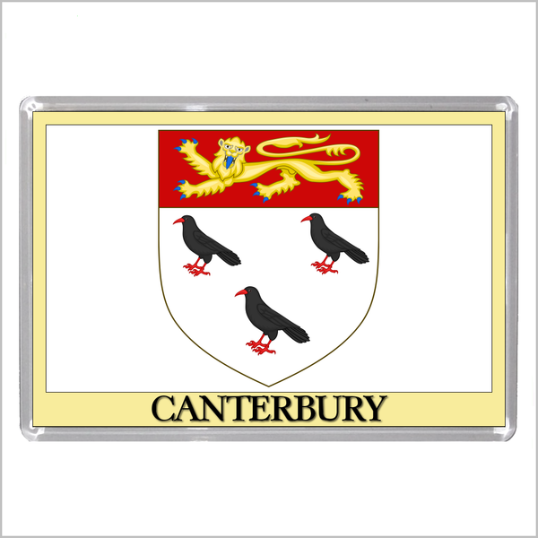 UK ENGLAND - ENGLISH CITY COATS OF ARMS Jumbo Acrylic Fridge Magnets (55 DESIGNS)