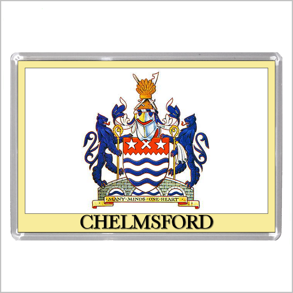 UK ENGLAND - ENGLISH CITY COATS OF ARMS Jumbo Acrylic Fridge Magnets (55 DESIGNS)