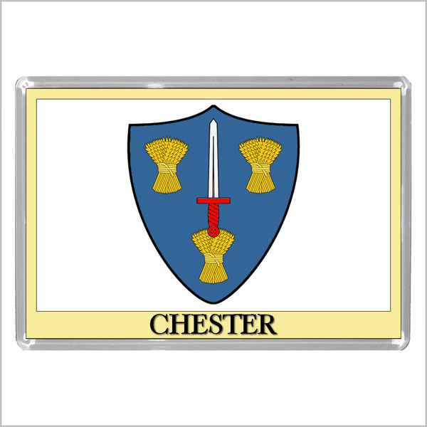 UK ENGLAND - ENGLISH CITY COATS OF ARMS Jumbo Acrylic Fridge Magnets (55 DESIGNS)
