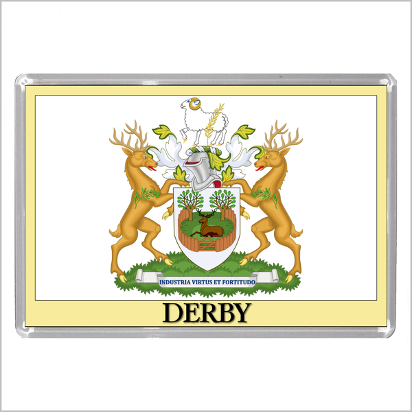 UK ENGLAND - ENGLISH CITY COATS OF ARMS Jumbo Acrylic Fridge Magnets (55 DESIGNS)