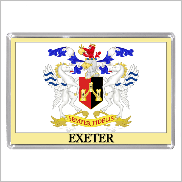 UK ENGLAND - ENGLISH CITY COATS OF ARMS Jumbo Acrylic Fridge Magnets (55 DESIGNS)