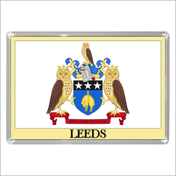 UK ENGLAND - ENGLISH CITY COATS OF ARMS Jumbo Acrylic Fridge Magnets (55 DESIGNS)