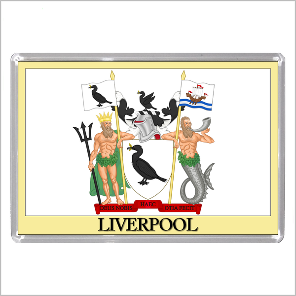 UK ENGLAND - ENGLISH CITY COATS OF ARMS Jumbo Acrylic Fridge Magnets (55 DESIGNS)