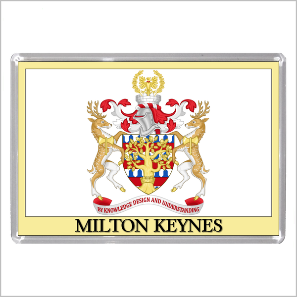 UK ENGLAND - ENGLISH CITY COATS OF ARMS Jumbo Acrylic Fridge Magnets (55 DESIGNS)