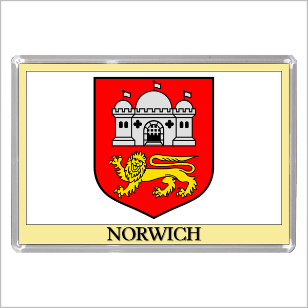 UK ENGLAND - ENGLISH CITY COATS OF ARMS Jumbo Acrylic Fridge Magnets (55 DESIGNS)