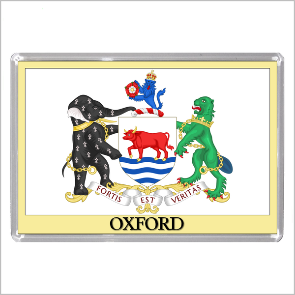 UK ENGLAND - ENGLISH CITY COATS OF ARMS Jumbo Acrylic Fridge Magnets (55 DESIGNS)