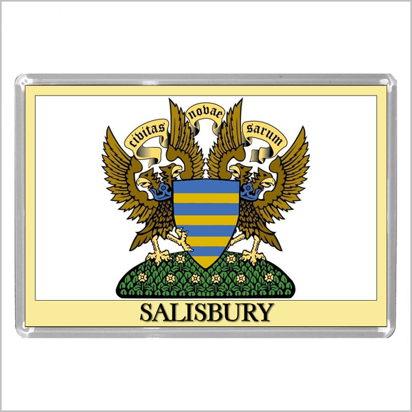 UK ENGLAND - ENGLISH CITY COATS OF ARMS Jumbo Acrylic Fridge Magnets (55 DESIGNS)