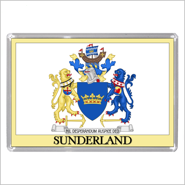 UK ENGLAND - ENGLISH CITY COATS OF ARMS Jumbo Acrylic Fridge Magnets (55 DESIGNS)