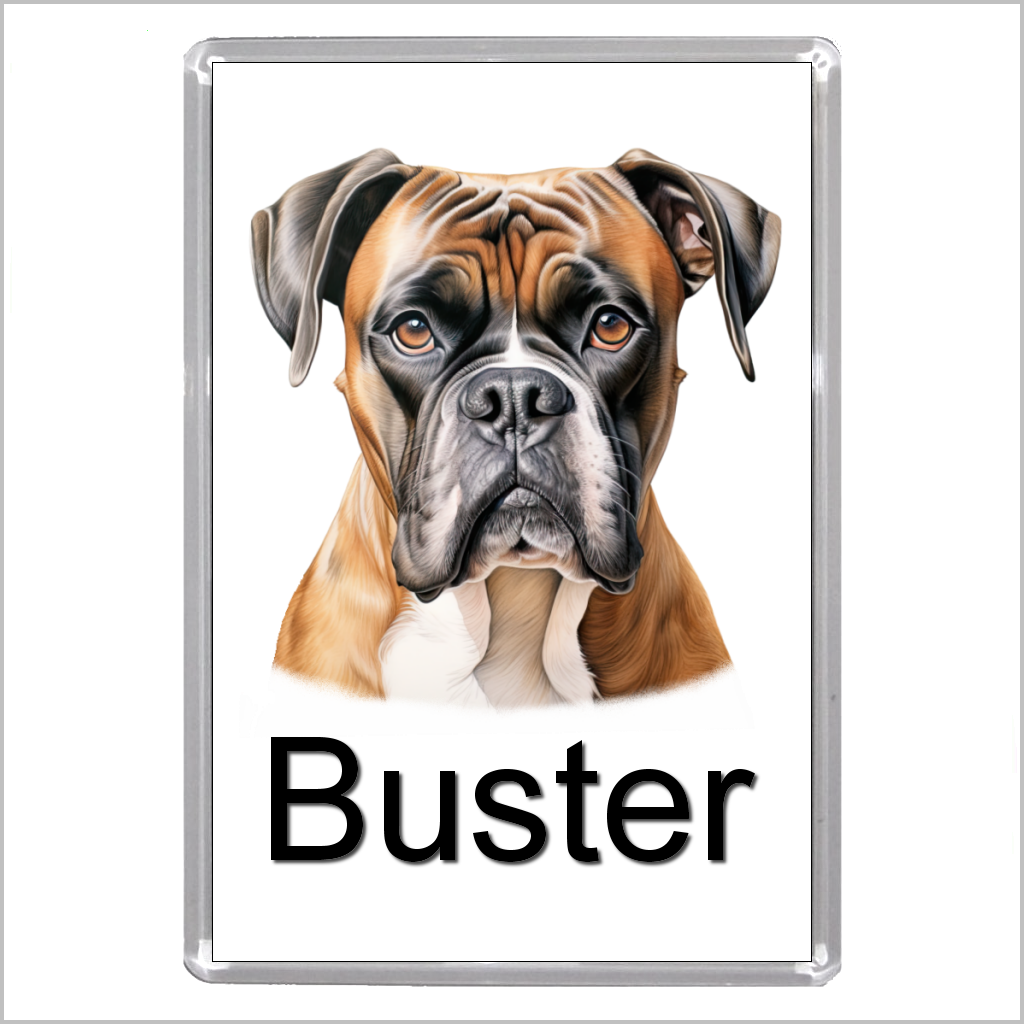 Personalised BOXER DOG Jumbo Acrylic Fridge Magnet