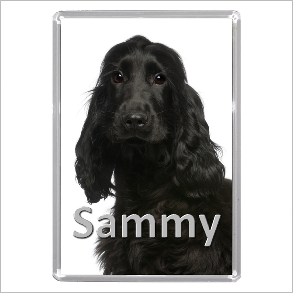 Personalised COCKER SPANIEL DOG Jumbo Acrylic Fridge Magnet - TWO DESIGNS AVAILABLE