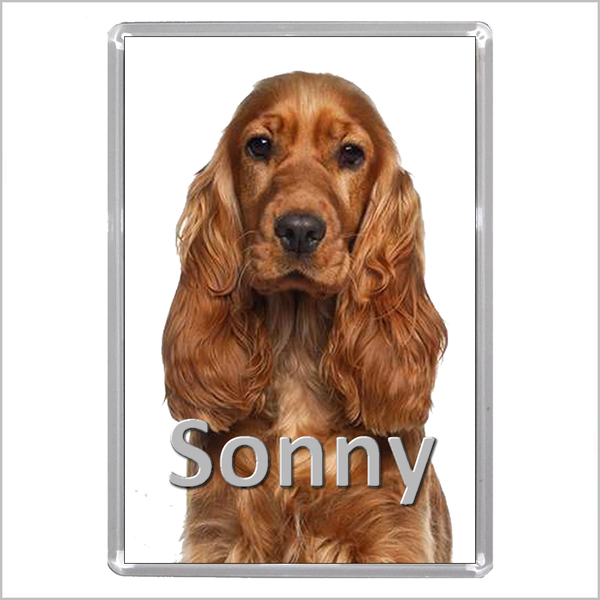 Personalised COCKER SPANIEL DOG Jumbo Acrylic Fridge Magnet - TWO DESIGNS AVAILABLE