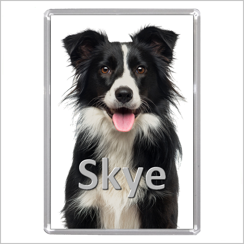 Personalised BORDER COLLIE DOG Jumbo Acrylic Fridge Magnet