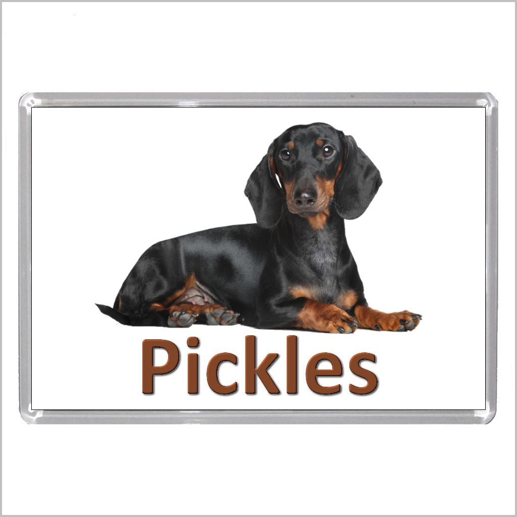 Personalised DACHSHUND (SAUSAGE DOG) Jumbo Acrylic Fridge Magnet