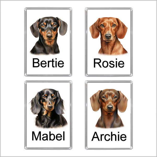 Personalised DACHSHUND (SAUSAGE DOG) Jumbo Acrylic Fridge Magnet - FOUR DESIGNS AVAILABLE