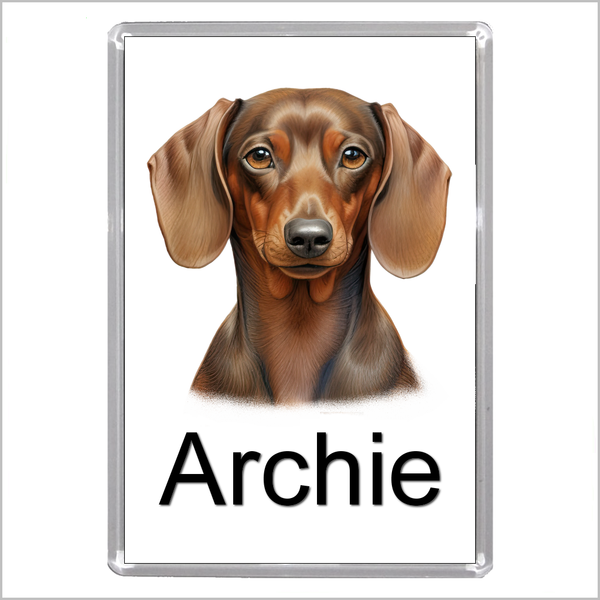Personalised DACHSHUND (SAUSAGE DOG) Jumbo Acrylic Fridge Magnet - FOUR DESIGNS AVAILABLE