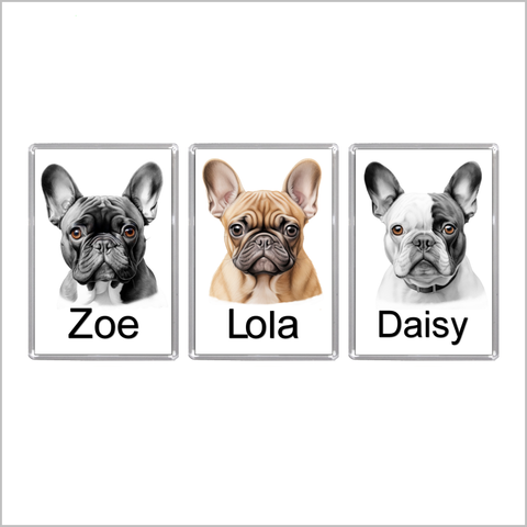 Personalised FRENCH BULLDOG Jumbo Acrylic Fridge Magnet - THREE DESIGNS AVAILABLE