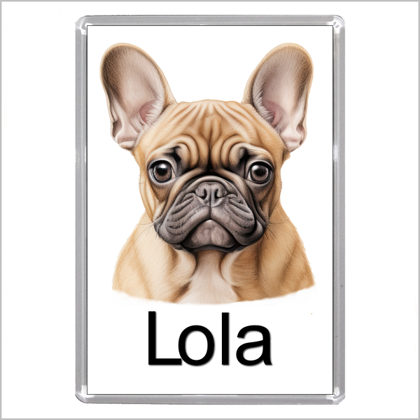 Personalised FRENCH BULLDOG Jumbo Acrylic Fridge Magnet - THREE DESIGNS AVAILABLE