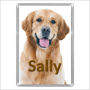 Personalised GOLDEN RETRIEVER DOG Jumbo Acrylic Fridge Magnet