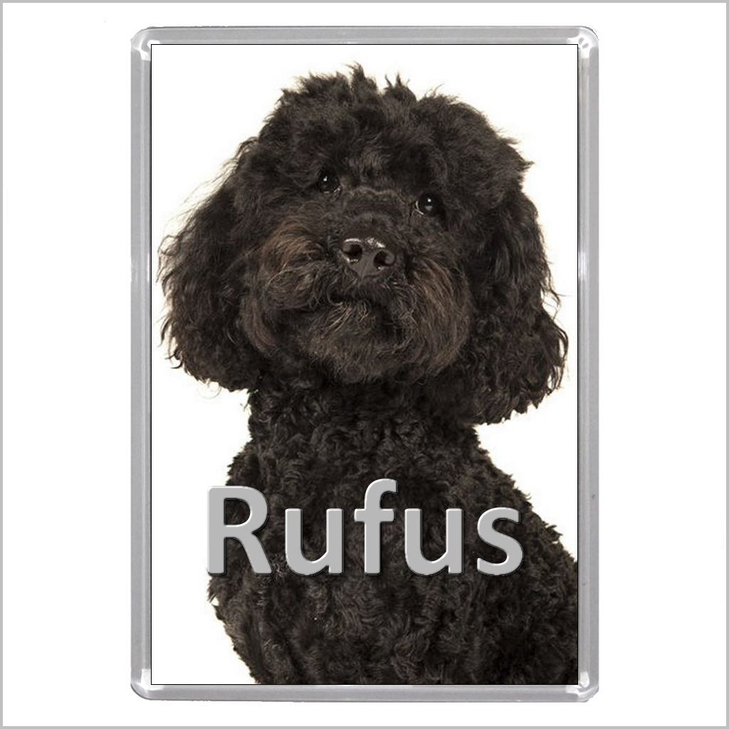 Personalised LABRADOODLE DOG Jumbo Acrylic Fridge Magnet - TWO DESIGNS AVAILABLE