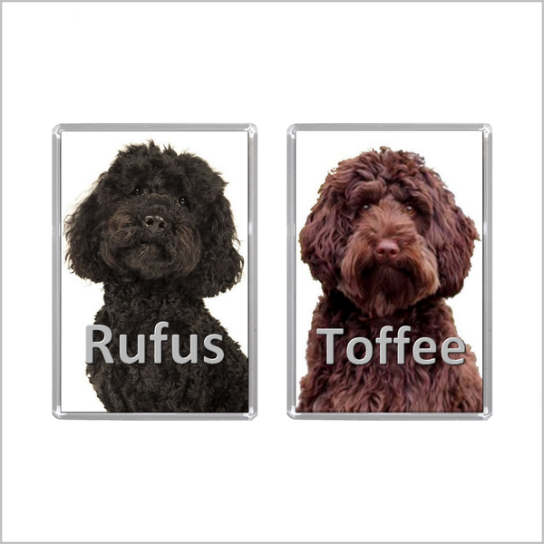 Personalised LABRADOODLE DOG Jumbo Acrylic Fridge Magnet - TWO DESIGNS AVAILABLE