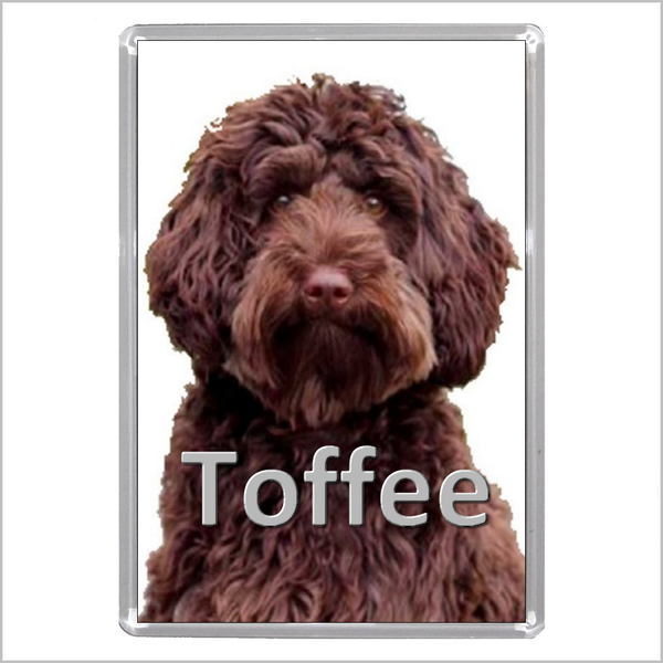 Personalised LABRADOODLE DOG Jumbo Acrylic Fridge Magnet - TWO DESIGNS AVAILABLE