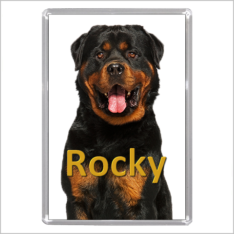 Personalised ROTTWEILER Jumbo Acrylic Fridge Magnet