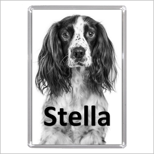 Personalised SPRINGER SPANIEL DOG Jumbo Acrylic Fridge Magnet - TWO DESIGNS AVAILABLE