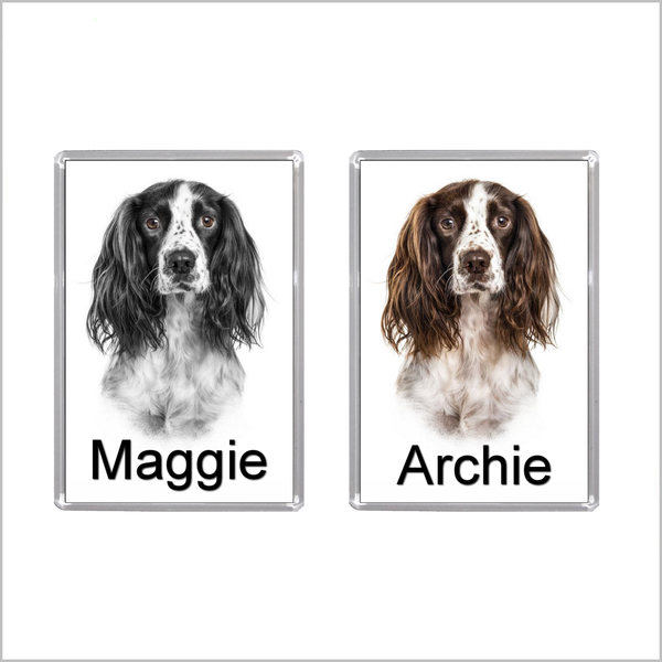 Personalised SPRINGER SPANIEL DOG Jumbo Acrylic Fridge Magnet - TWO DESIGNS AVAILABLE